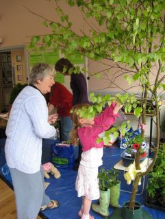 Dressing the Birch